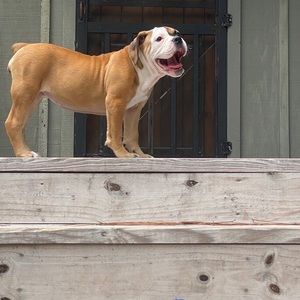 Meet your Posher, Michael